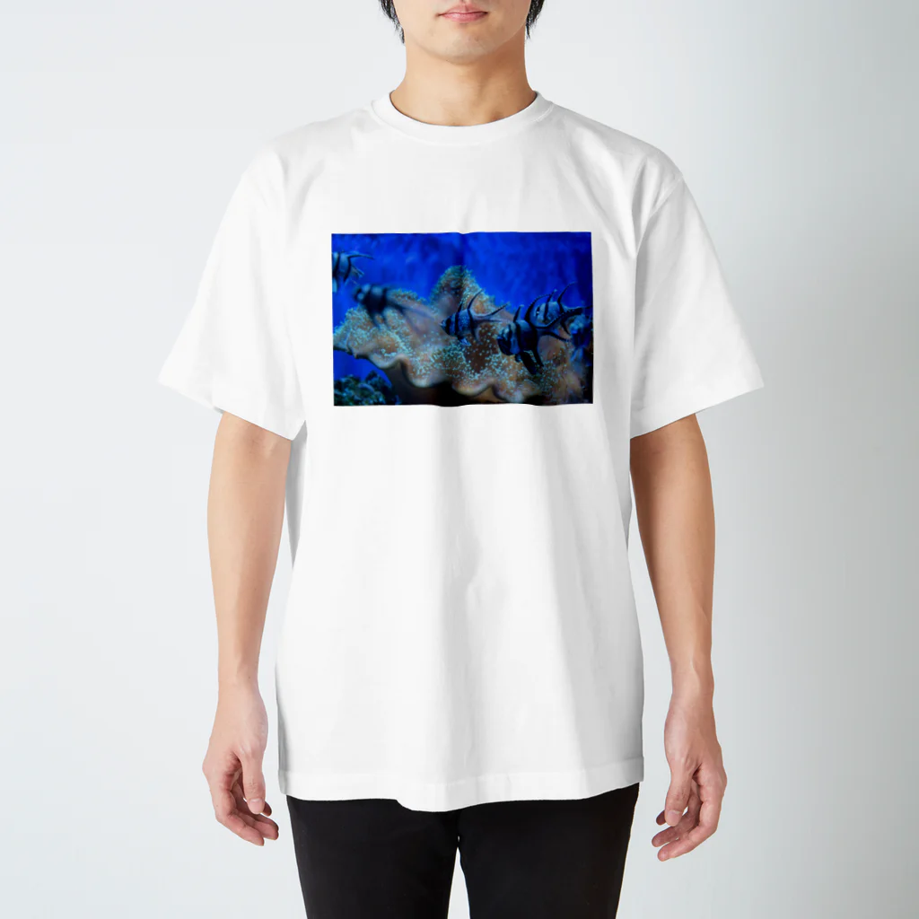 天秤座の星空の魚 Regular Fit T-Shirt