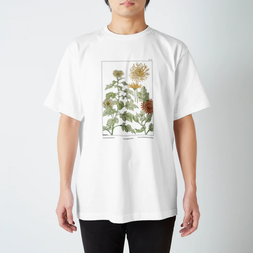 Public Domain GraphicのChrysanthemum (1896) スタンダードTシャツ