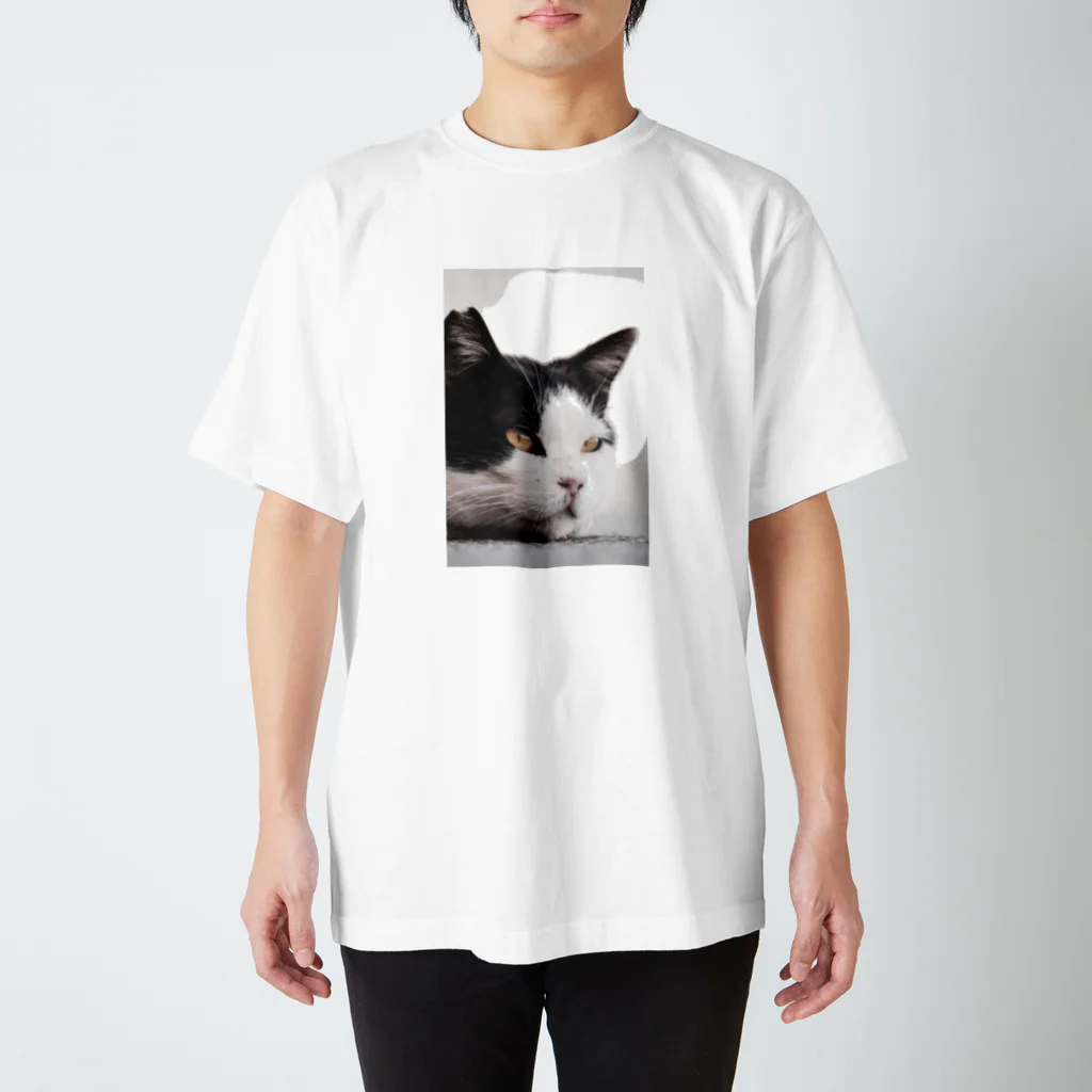 koyo0803の猫顔 スタンダードTシャツ