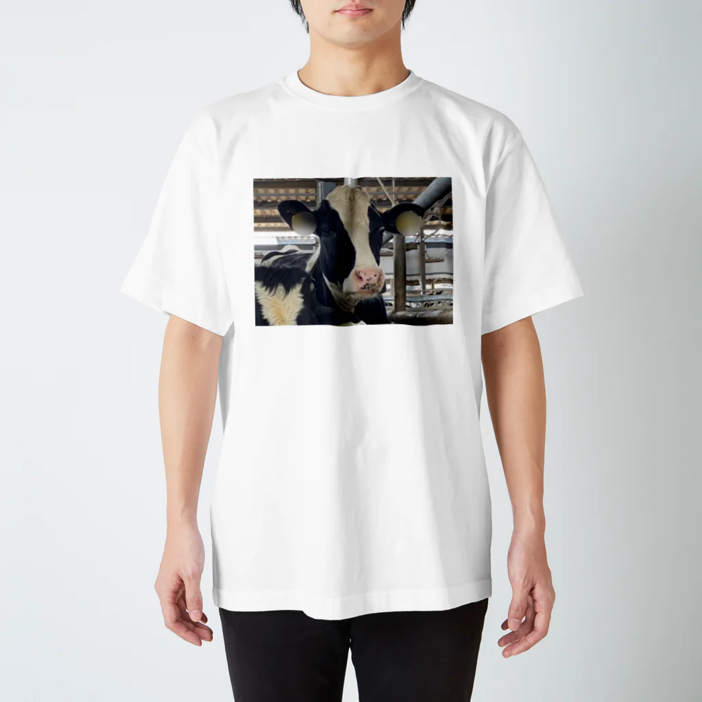 生物スキーの人生絶望牛 スタンダードTシャツ