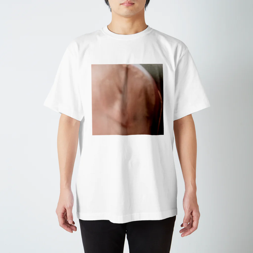imodolmame_shopの寝顔がおぶすなハムスター(imotaro) Regular Fit T-Shirt