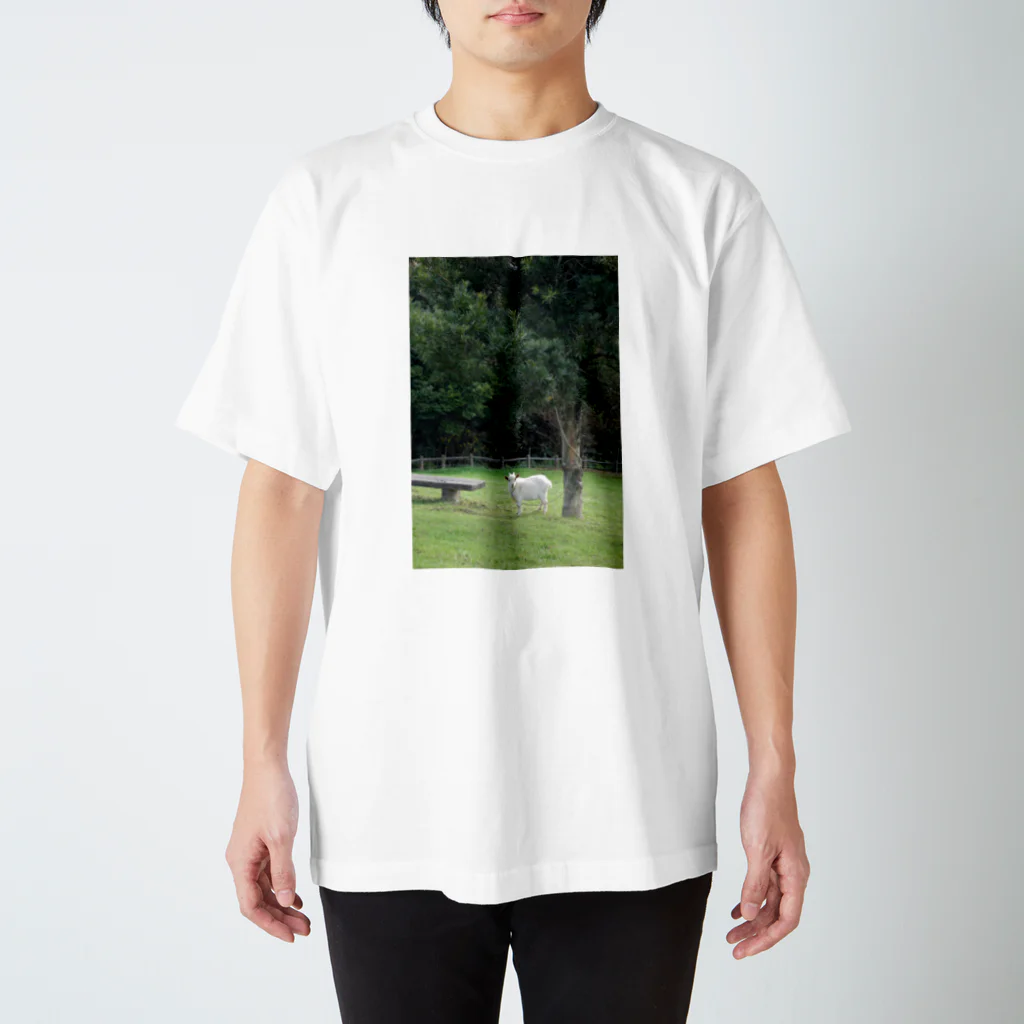 IROIRO-OHANAの木陰のやぎ Regular Fit T-Shirt