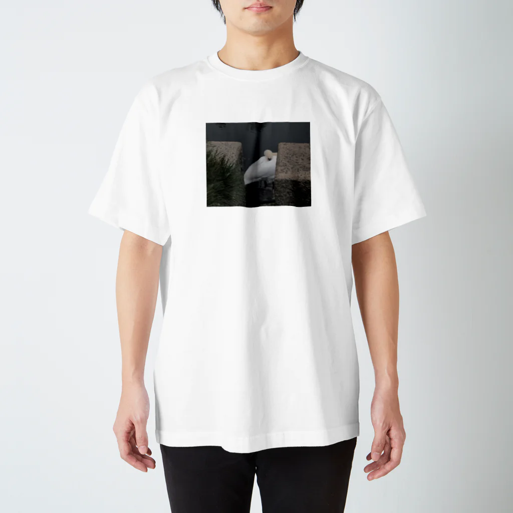 upeolupeoの水鳥ちゃん Regular Fit T-Shirt