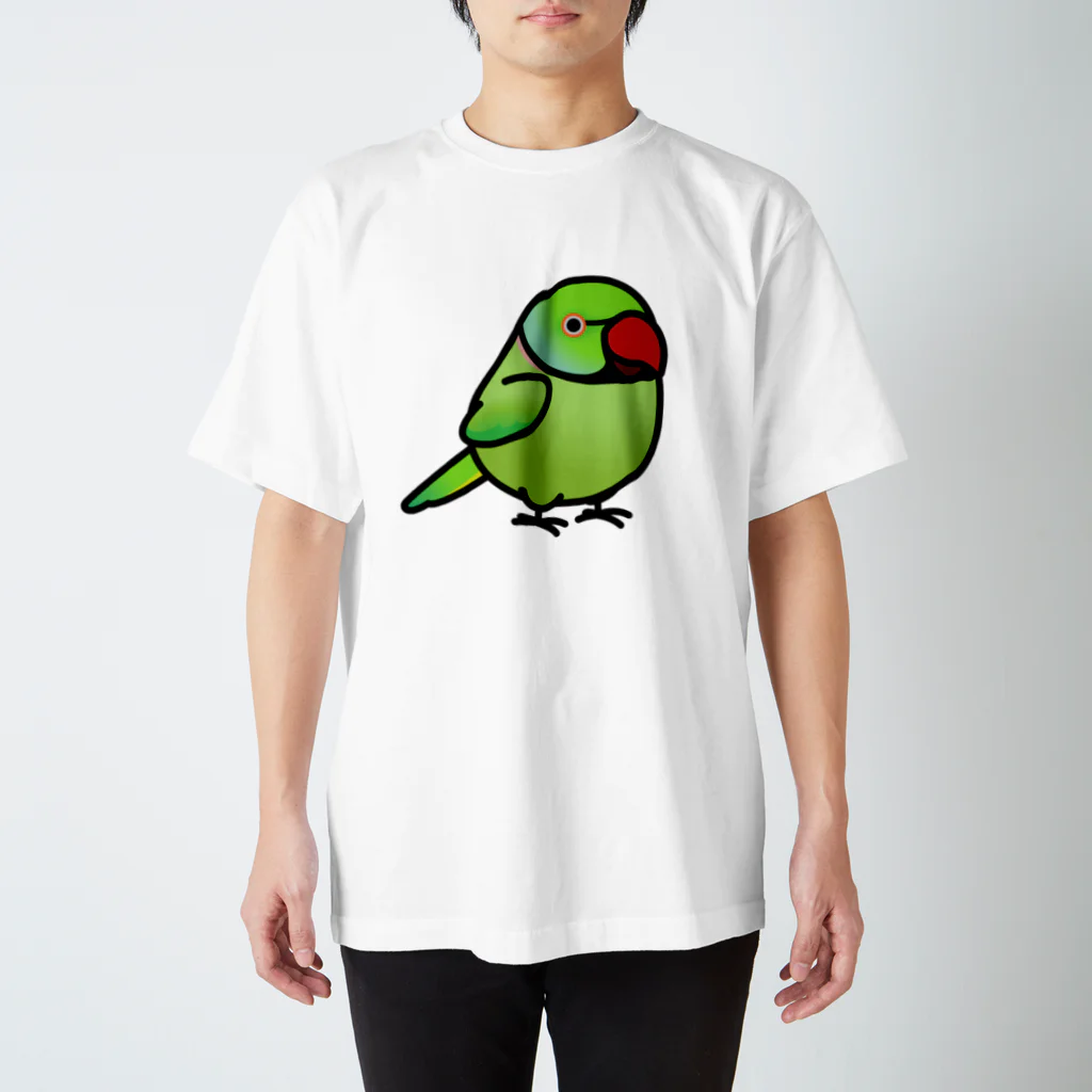 Cody the LovebirdのChubby Bird　ワカケホンセイインコ　グリーン スタンダードTシャツ