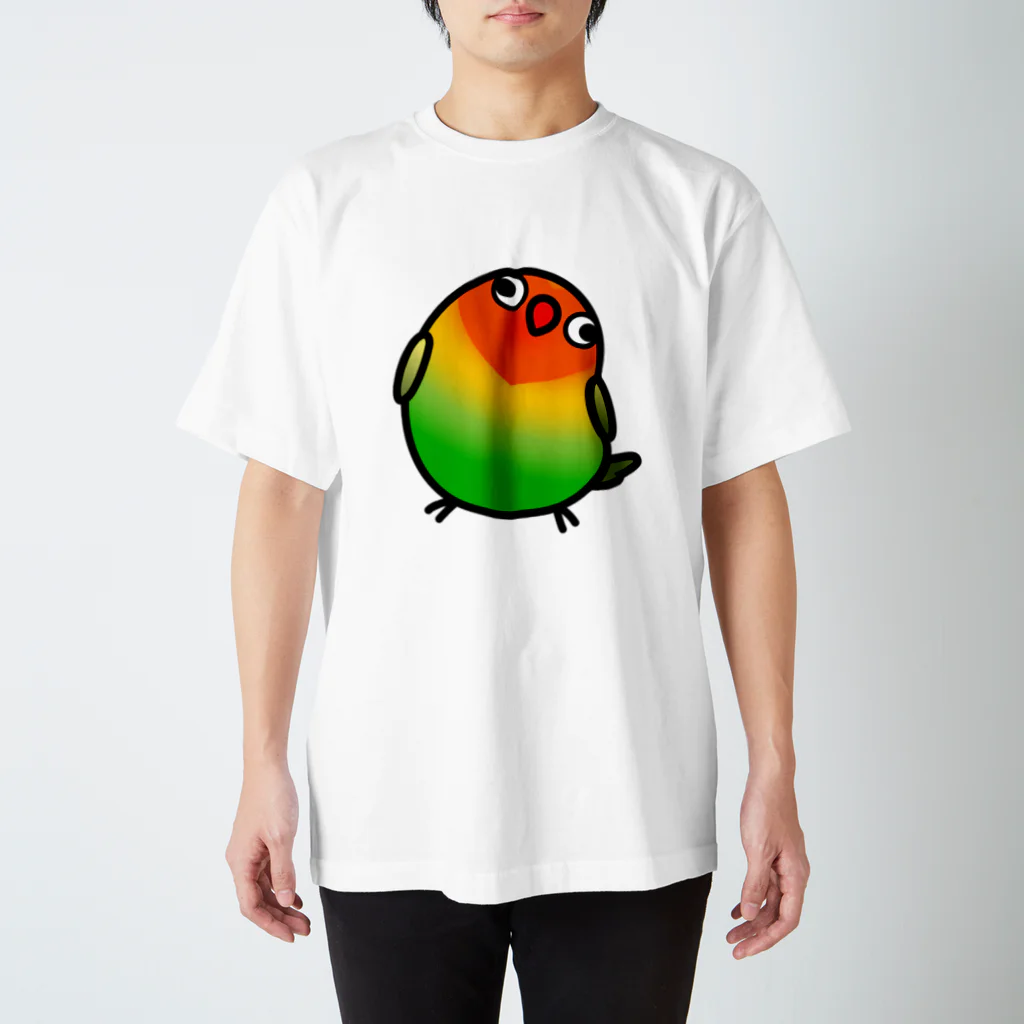 Cody the LovebirdのChubby Bird ルリゴシボタンインコ スタンダードTシャツ