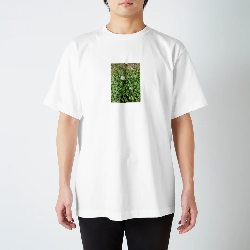 ウソ飯店のクローバーにタンポポ Regular Fit T-Shirt