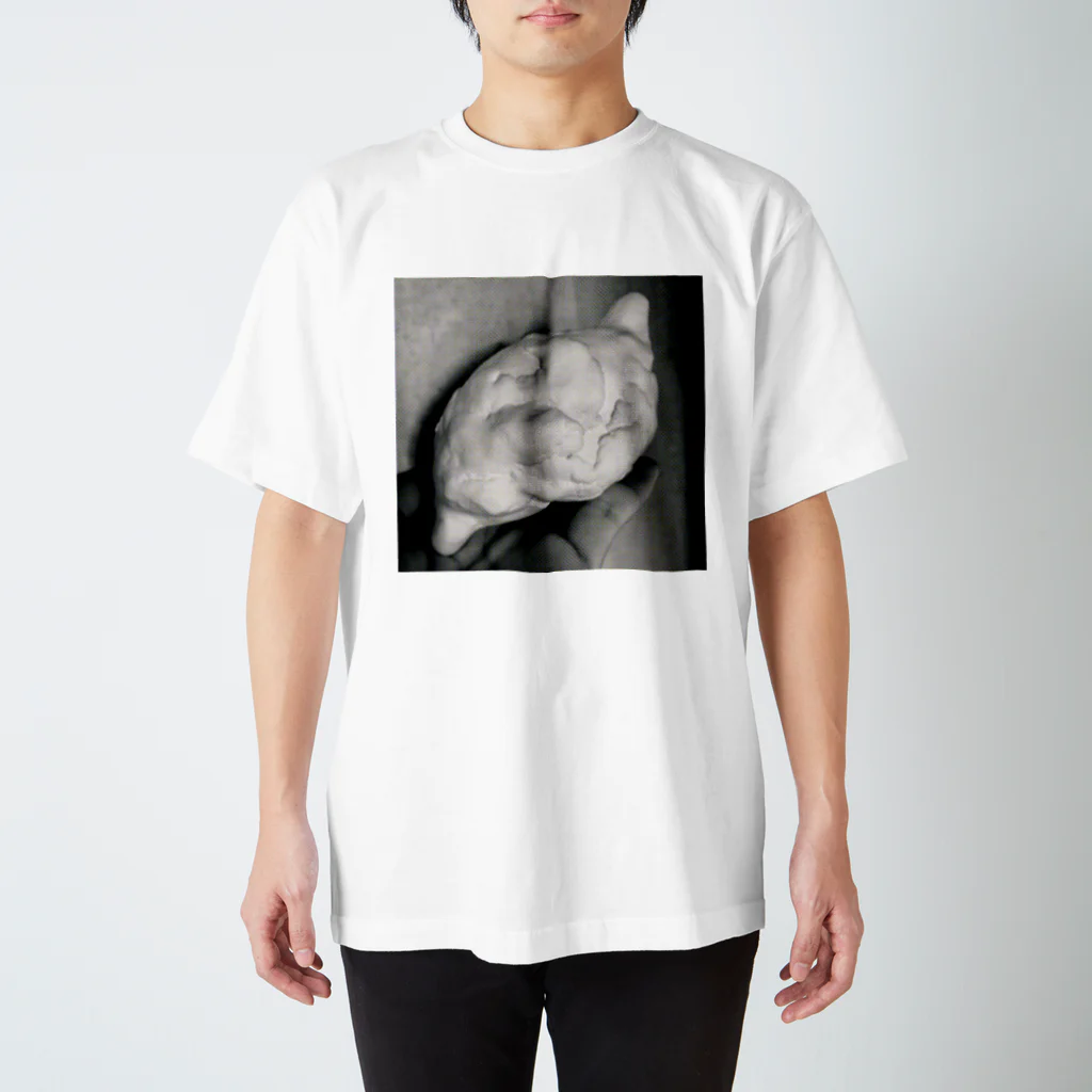 脳移植の手乗り胃 Regular Fit T-Shirt