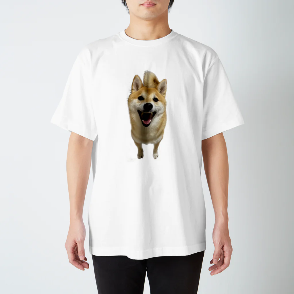 ฅ猫好き薬剤師⌬ けんたろう SHOP໒꒱のりっちゃんシリーズ スタンダードTシャツ