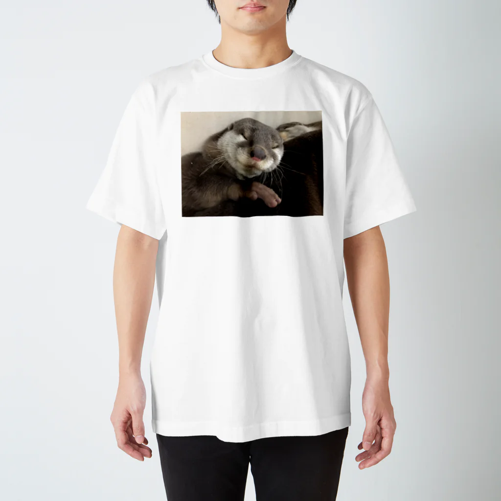 うさかふぇmimiSHOPの癒しかわうそ Regular Fit T-Shirt