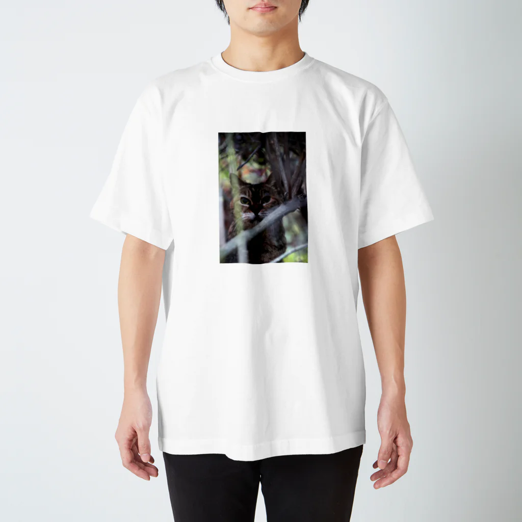 シッポ追いの猫写真店の狩り Regular Fit T-Shirt