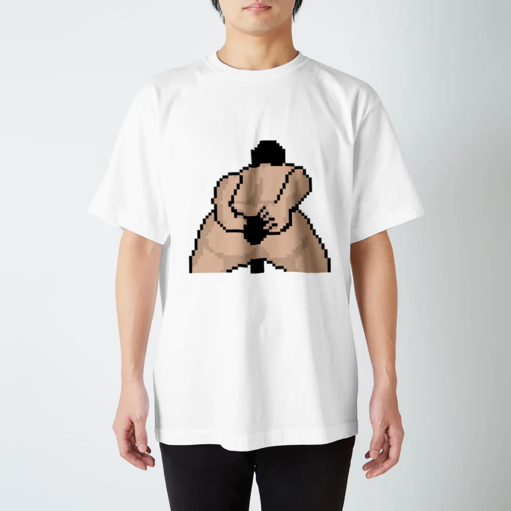 アマゴンショップの象(大嘘) Regular Fit T-Shirt