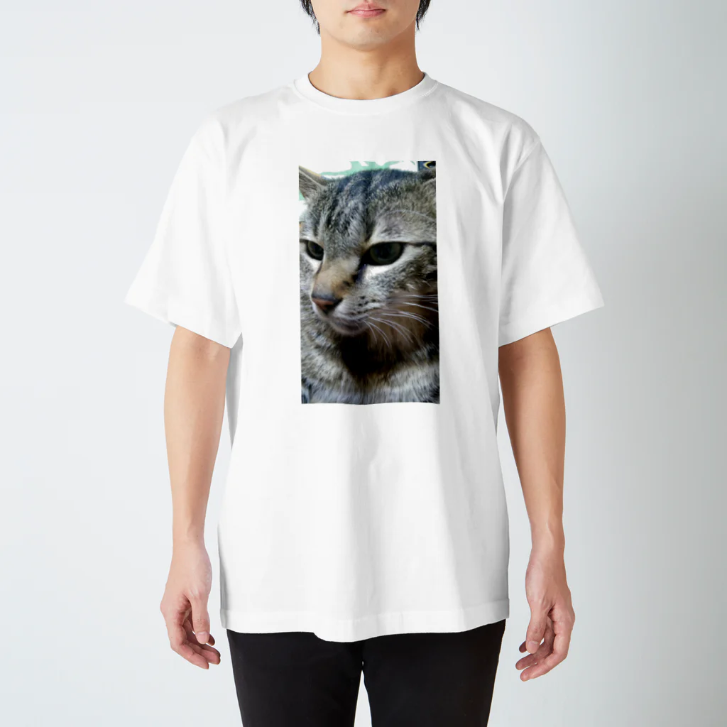 nyankodesuの強運の持ち主ももちゃんです(^▽^)/ Regular Fit T-Shirt