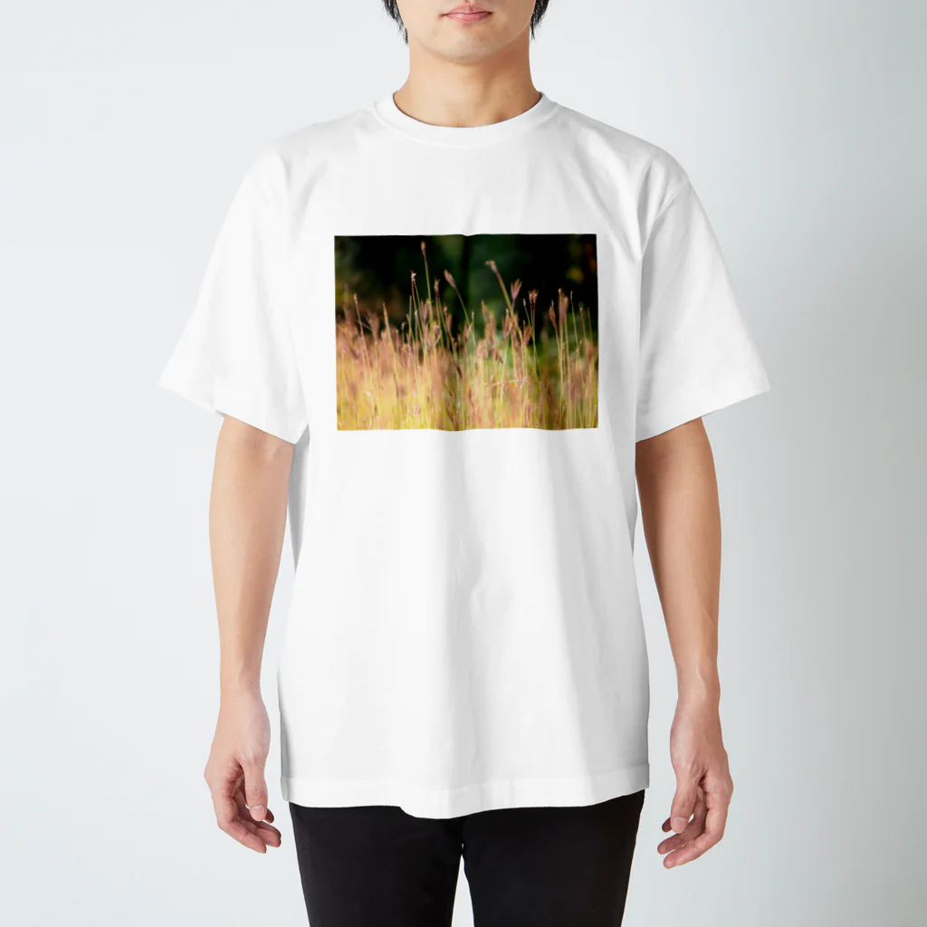 NAKAGAWA Tの秋の野原 Regular Fit T-Shirt