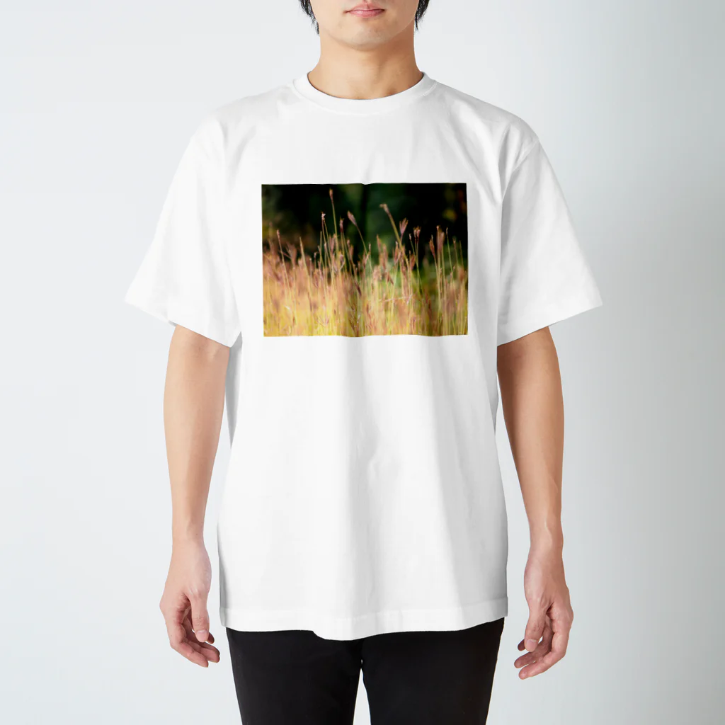 NAKAGAWA Tの秋の野原 スタンダードTシャツ