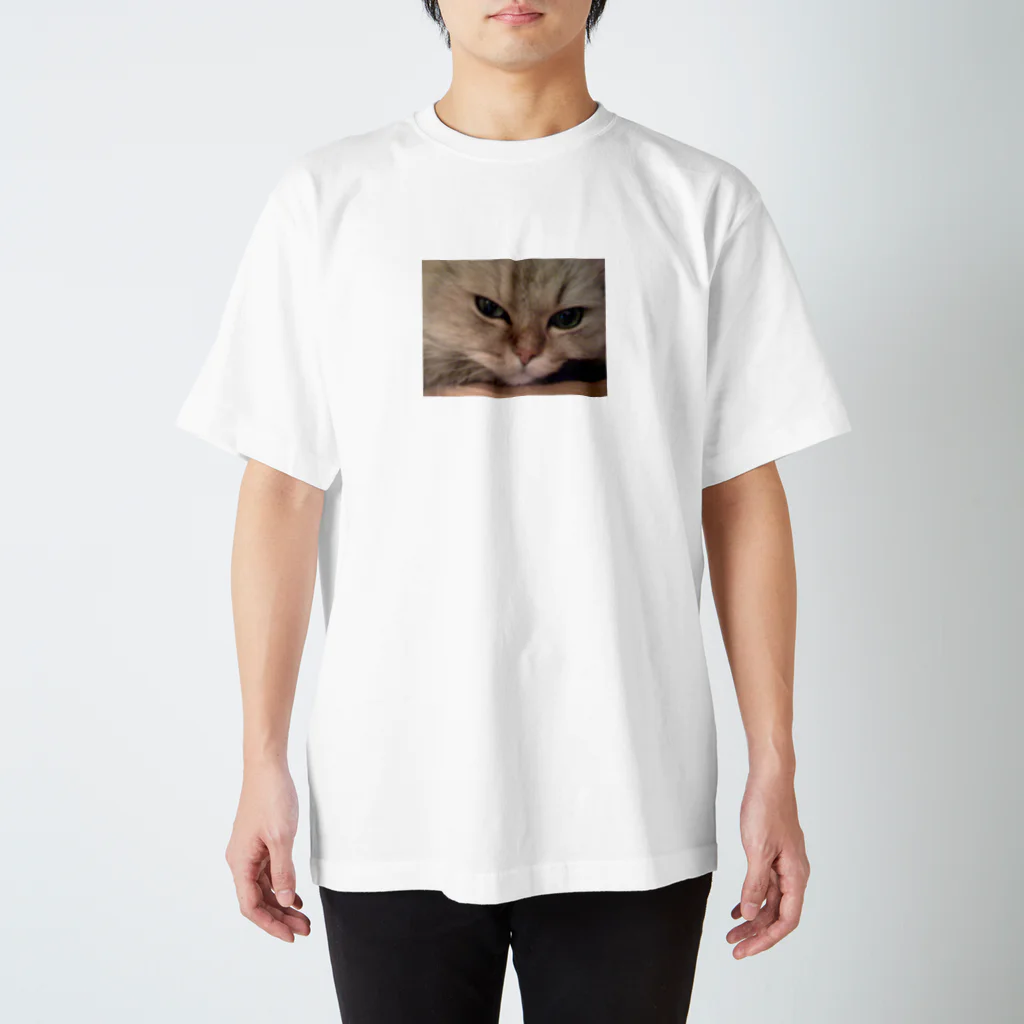 dac0001の愛猫モモのどアップ画！ スタンダードTシャツ