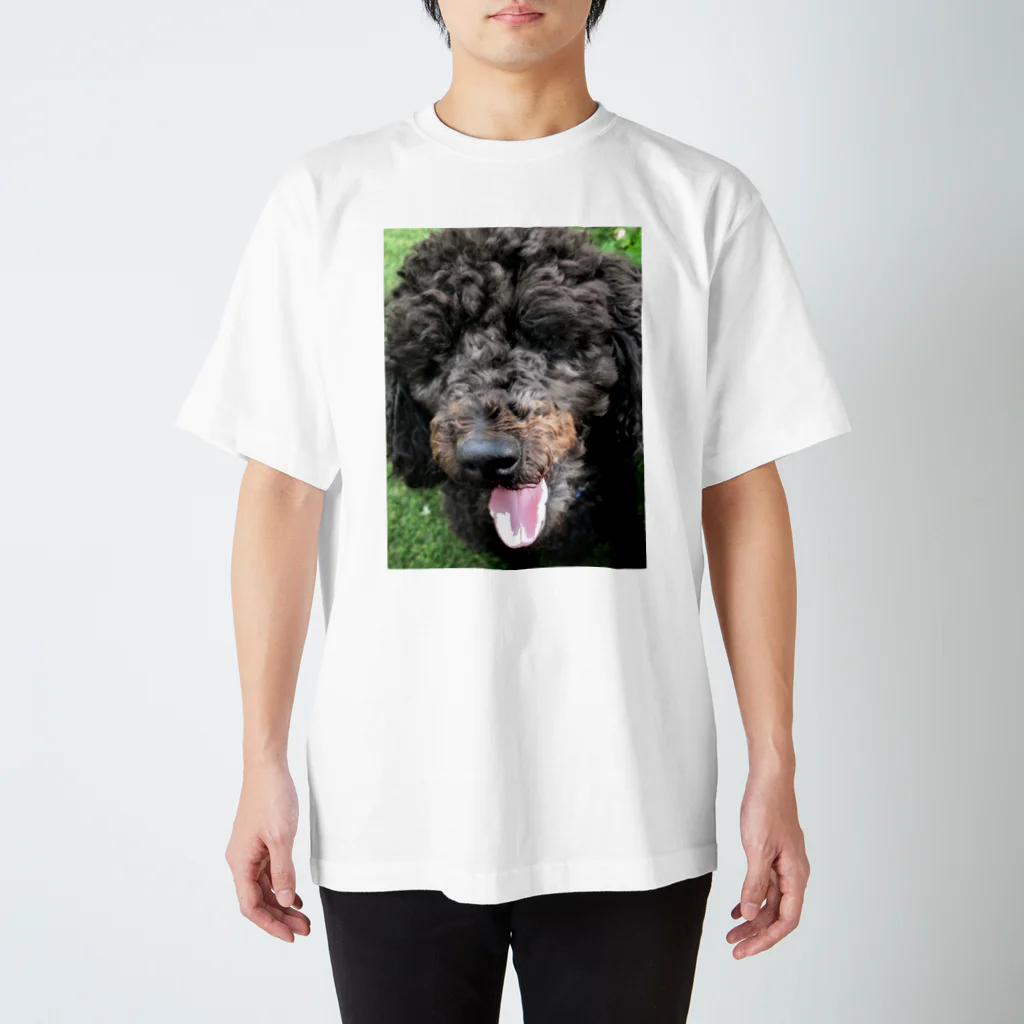 ノラうさきゅん☆のもふもふ犬トイプードル スタンダードTシャツ