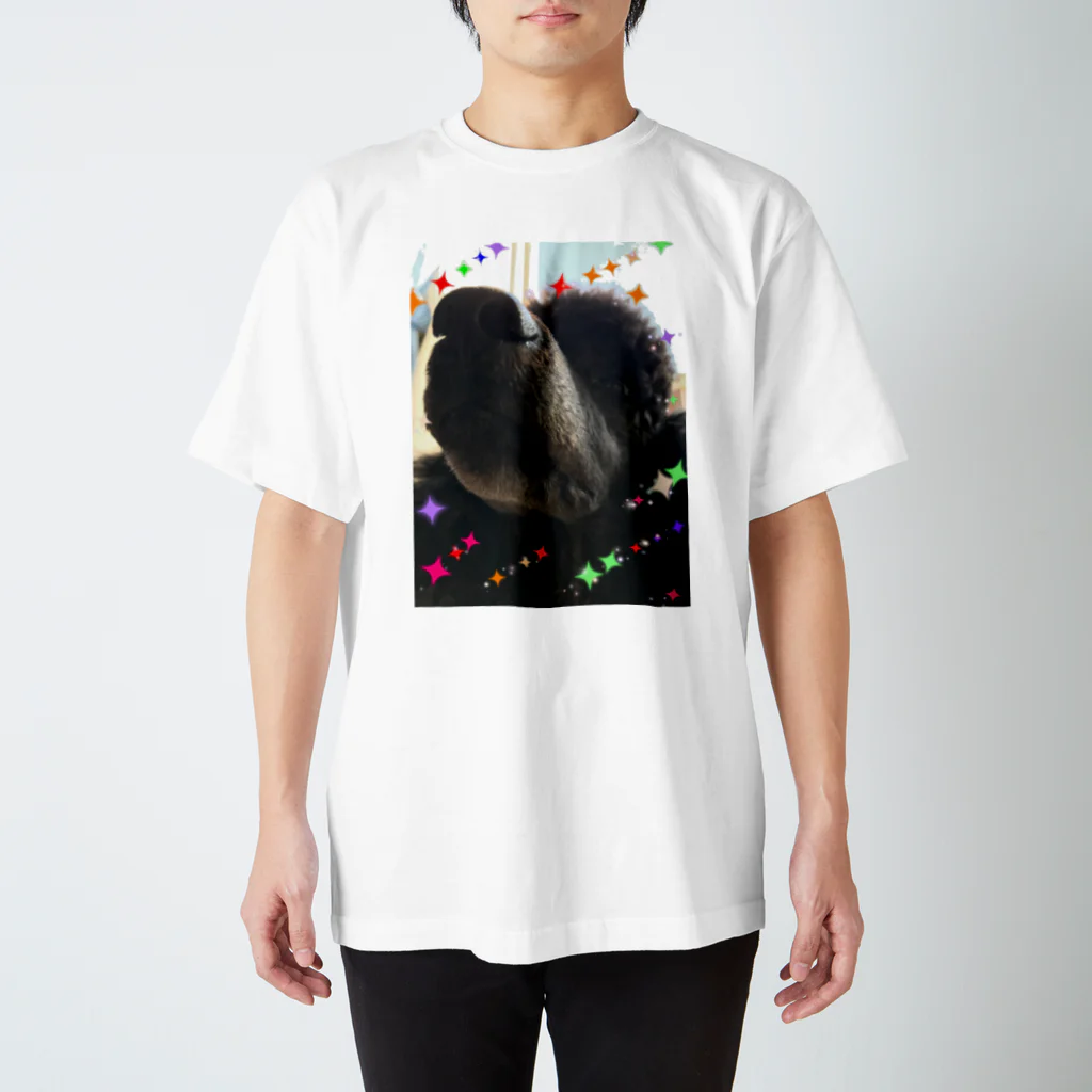 ノラうさきゅん☆のイケメントイプードル Regular Fit T-Shirt