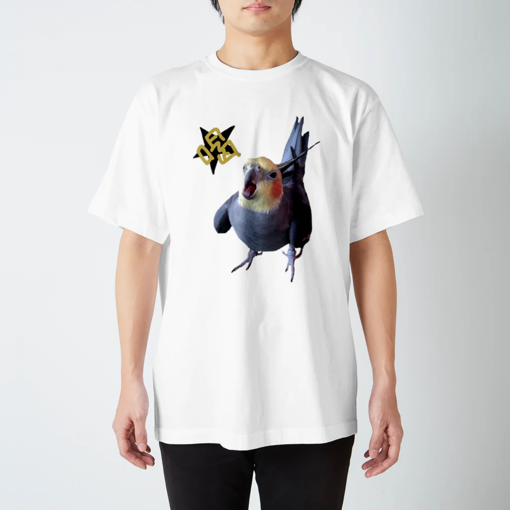 🐥ゆる(いイラストで生き物を)愛(でたい)の喝をいれられたいあなたへ🐥 スタンダードTシャツ