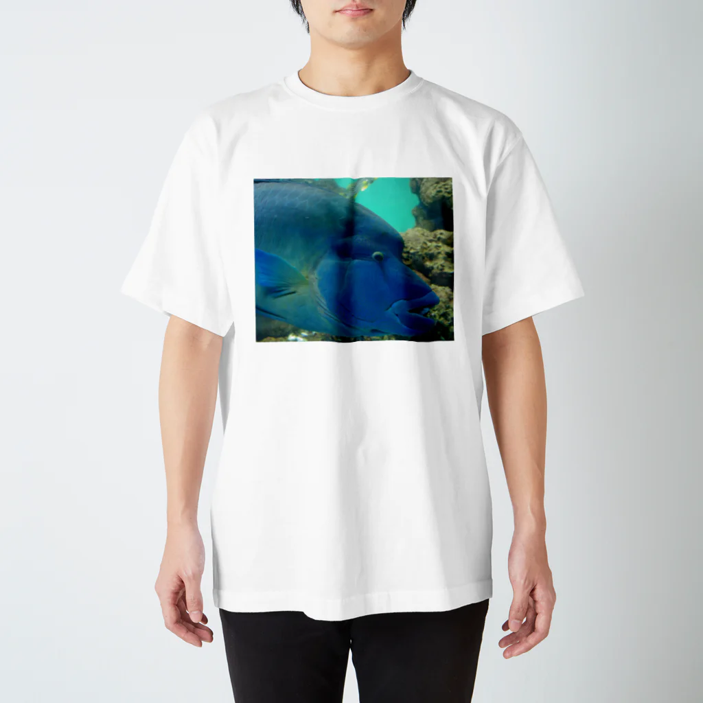 ビーンズ(´・∀・｀;)のFish! スタンダードTシャツ