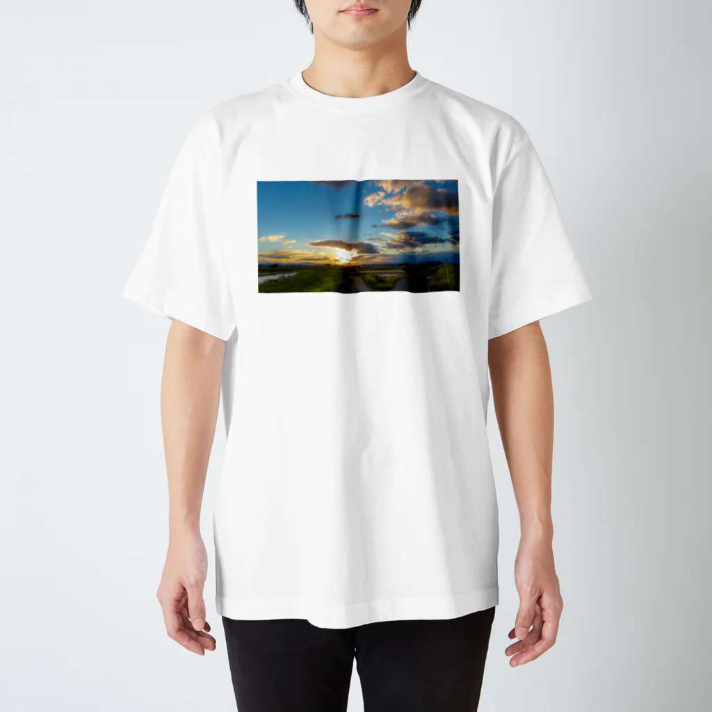 Qの春の夕焼け スタンダードTシャツ