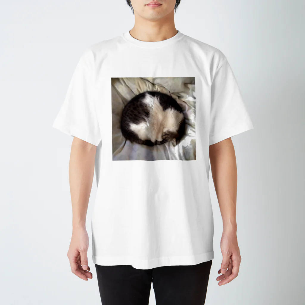 kotetsu59のまんまるネコ Regular Fit T-Shirt