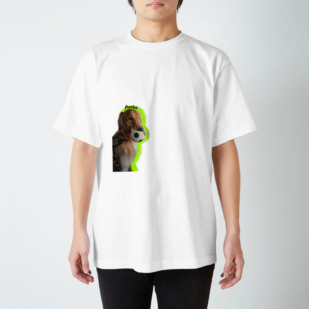 犬のだいあんのボール大好き大ちゃん Regular Fit T-Shirt