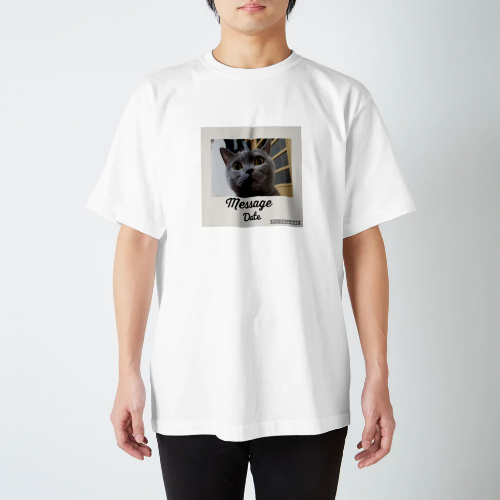 ねこねこのブリティッシュショートヘア Regular Fit T-Shirt