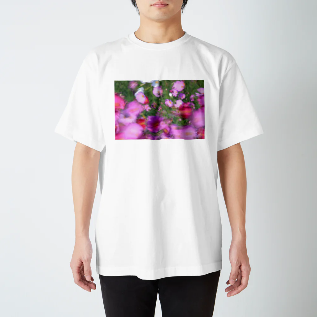 kenの乱れ秋桜 スタンダードTシャツ