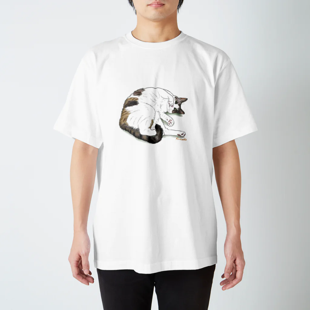 kinako-japanの三毛猫　ノースさん スタンダードTシャツ