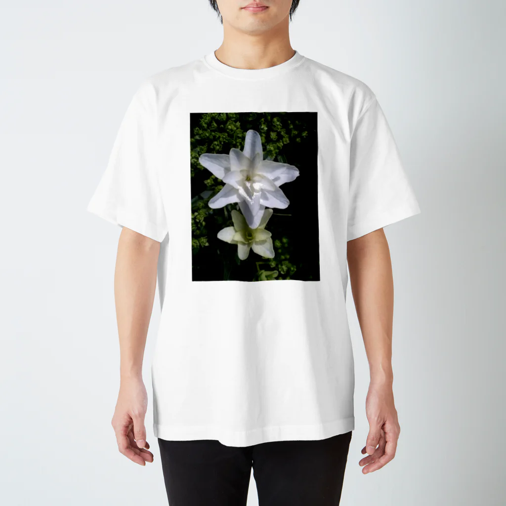 Dreamscape(LUNA)の連れ添ってどこへ行きましょう？ Regular Fit T-Shirt