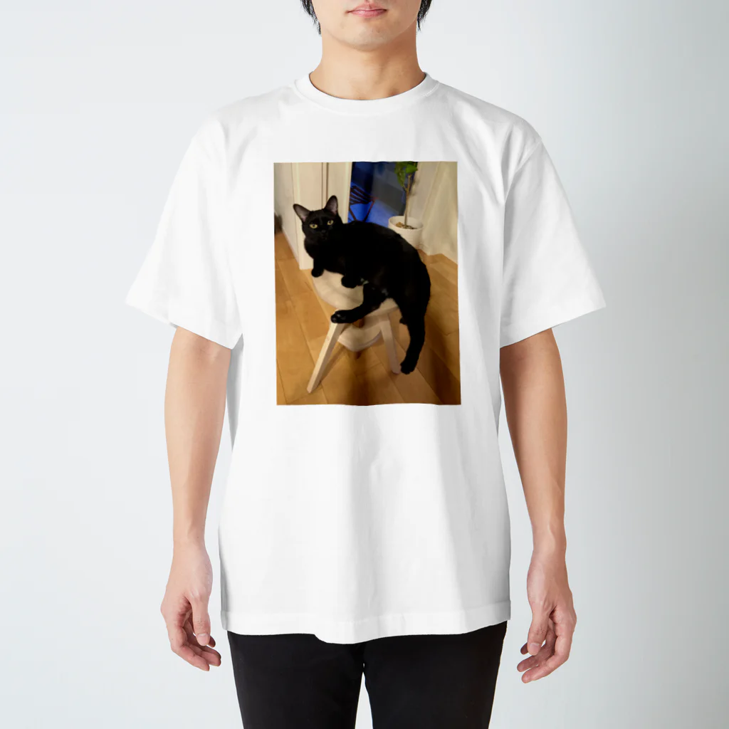 クロネコチャコとフランス額装のショップのくつろぐ黒猫チャコ スタンダードTシャツ