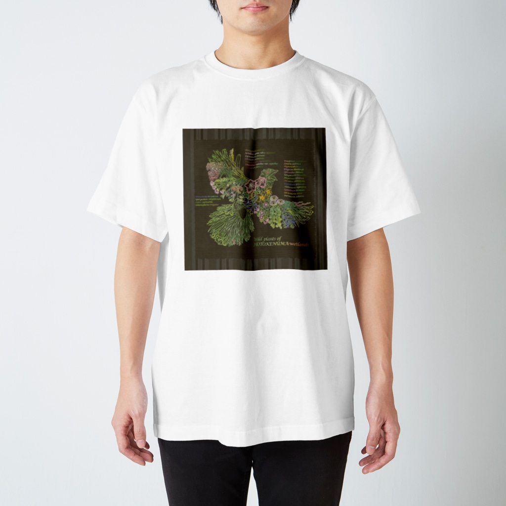 雁花工房（寄付アイテム販売中です）のWild plants of HOTOKENUMA-wetlands（背景ダークグレー） Regular Fit T-Shirt