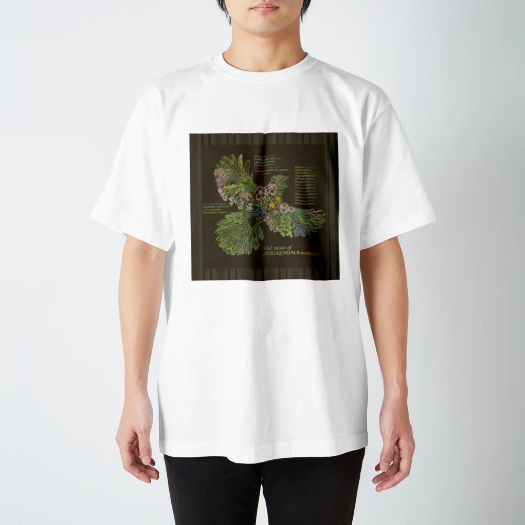 雁花工房（寄付アイテム販売中です）のWild plants of HOTOKENUMA-wetlands（背景ダークグレー） スタンダードTシャツ