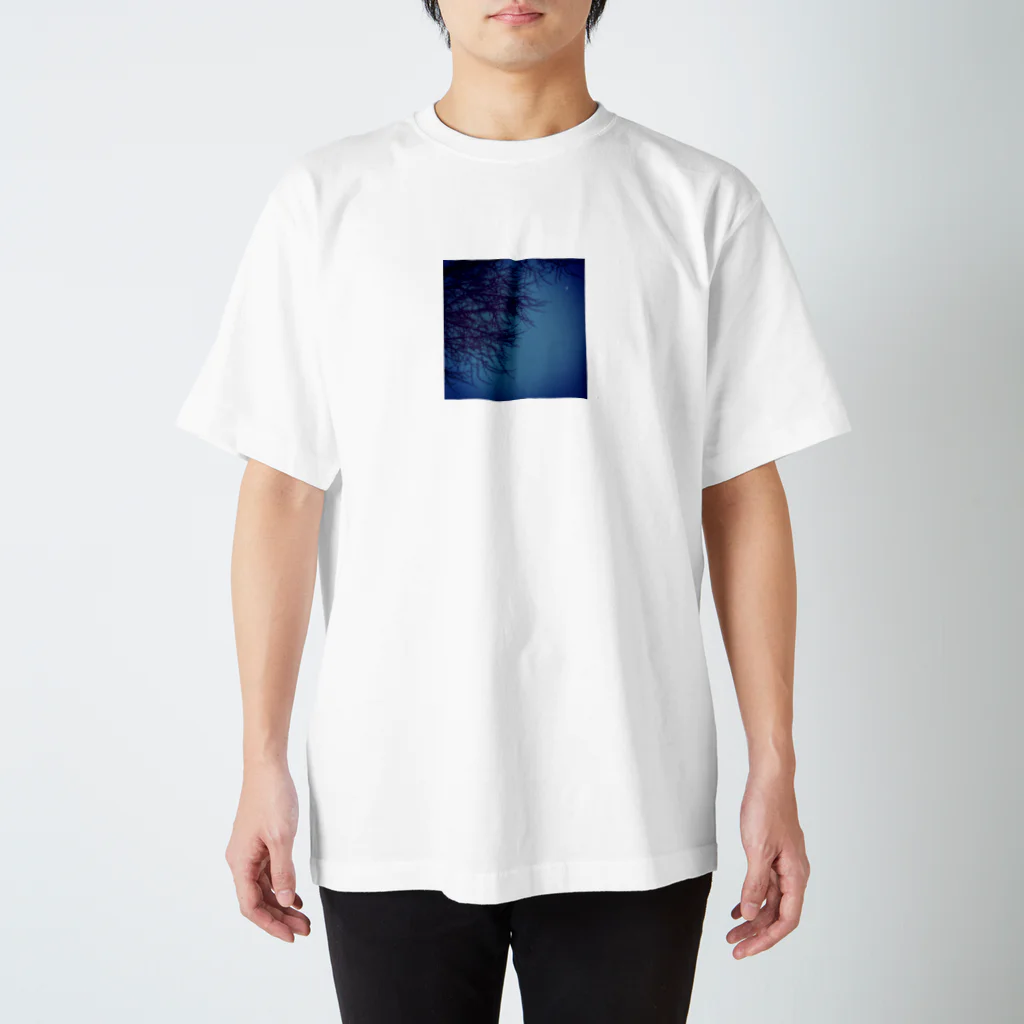 soranoの桜と夜空 Regular Fit T-Shirt