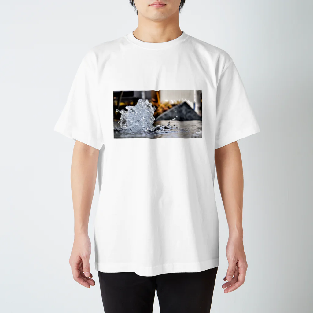 akashanutakataの水 Regular Fit T-Shirt