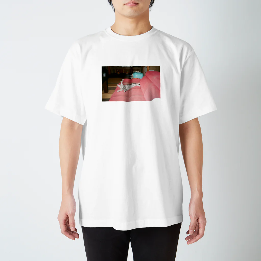 hayate kanazawaのcat モザイク　t Regular Fit T-Shirt
