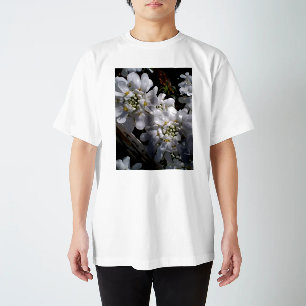 Dreamscape(LUNA)のシュガーキャンディー Regular Fit T-Shirt