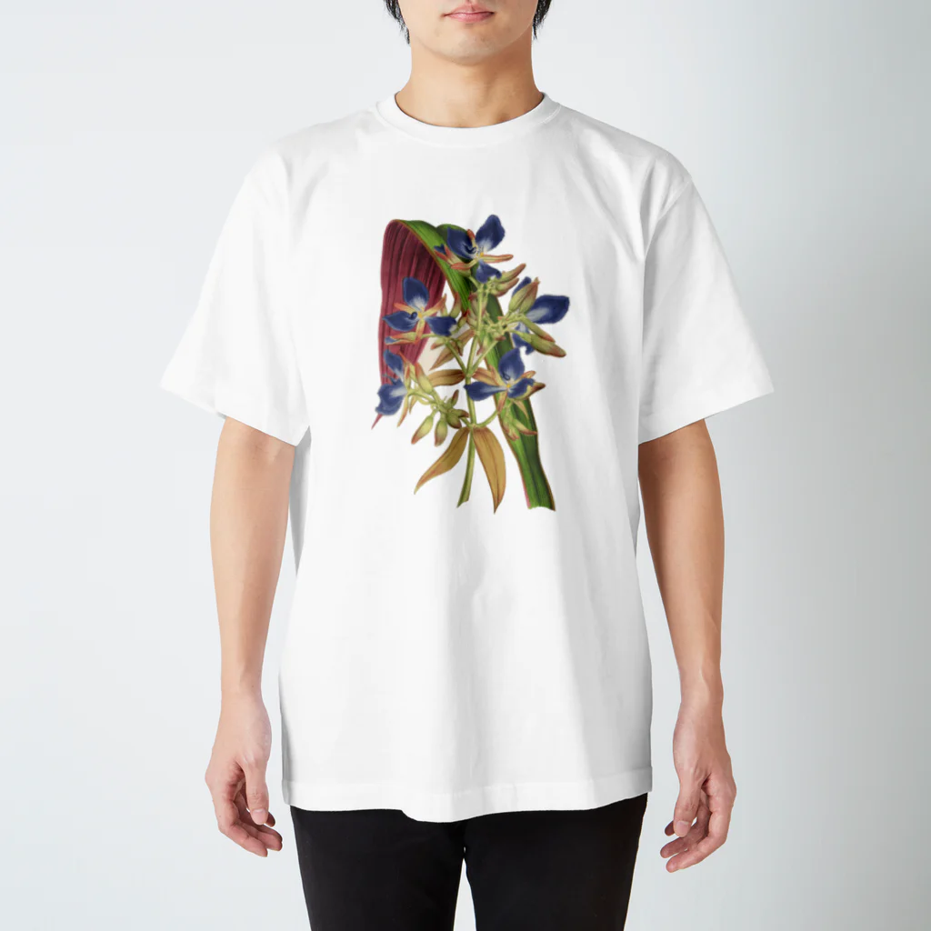 ボタニカルアートのボタニカルアート Regular Fit T-Shirt