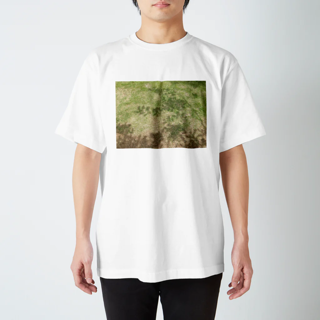 写真箱のkoorebi スタンダードTシャツ