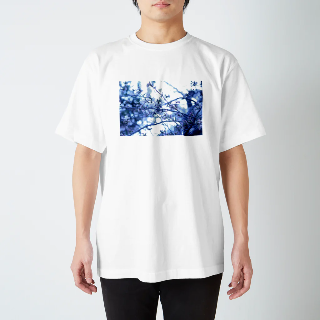 Kengo Kitajimaの桜 スタンダードTシャツ