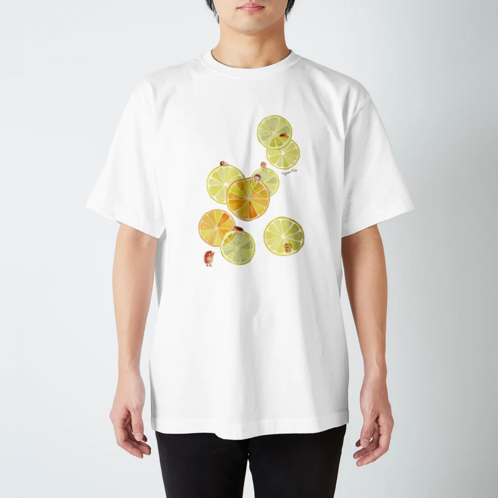 イラストレーター おおでゆかこのcitrus スタンダードTシャツ