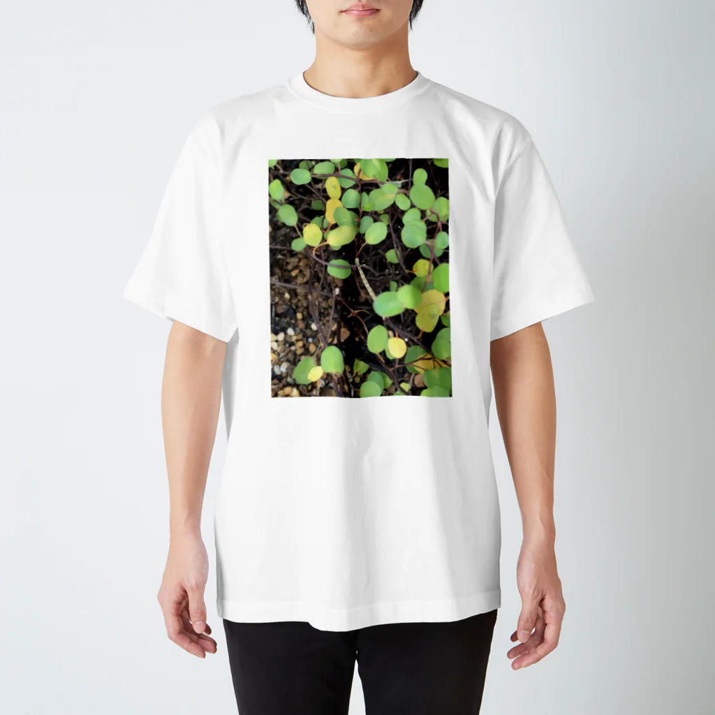 笑顔咲きの雑草 Regular Fit T-Shirt