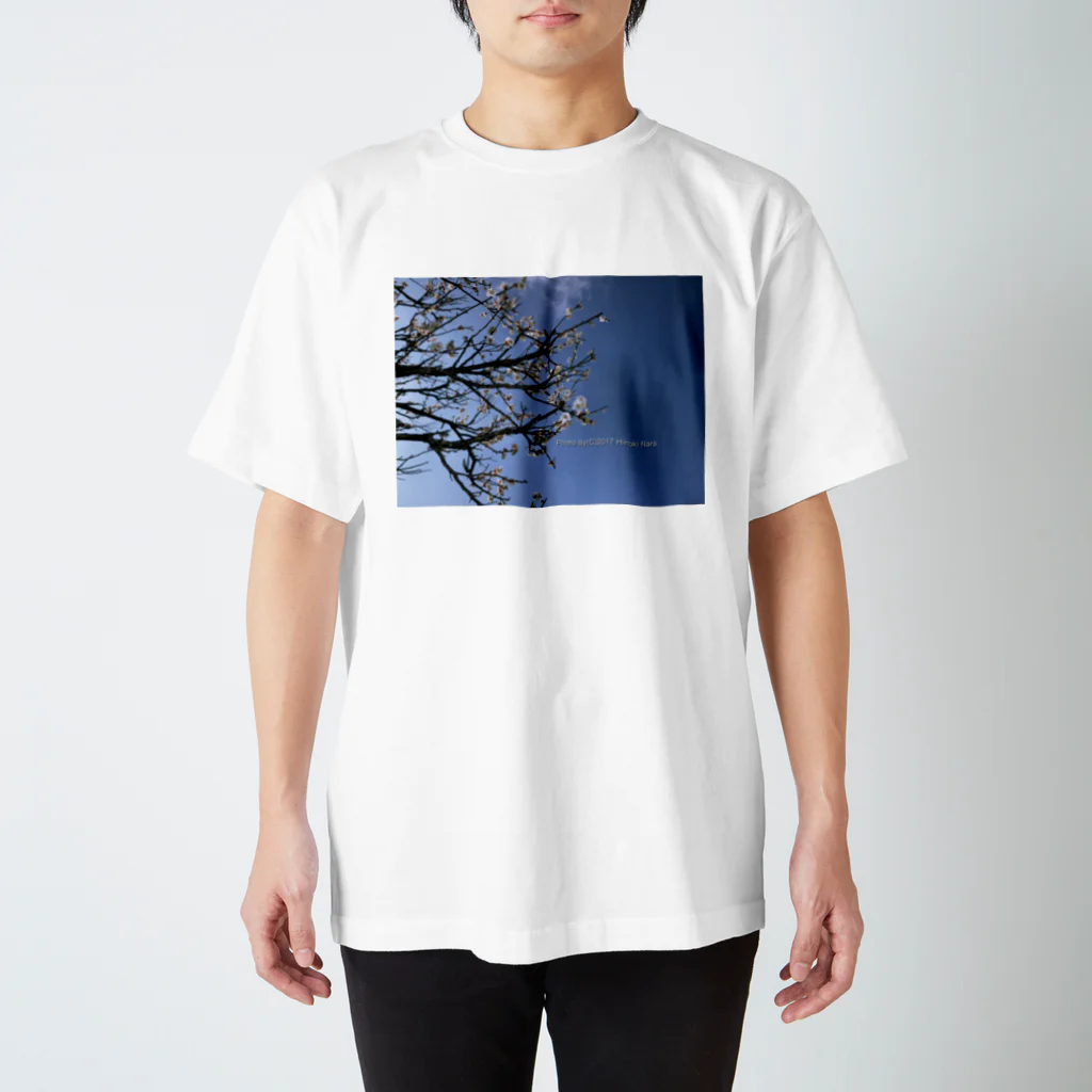 hiroki-naraの光景　sight738　梅  花 FLOWERS スタンダードTシャツ