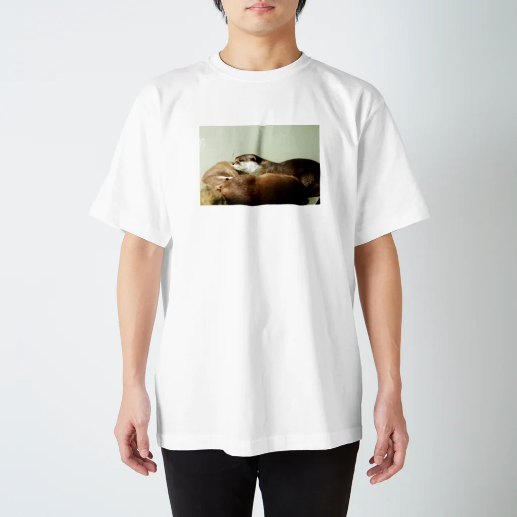 Kengo Kitajimaのカワウソ スタンダードTシャツ