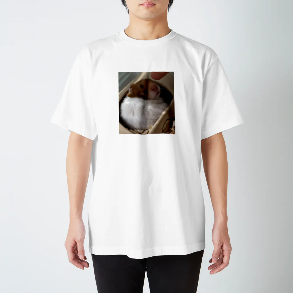 バーニング×バニー　ら太朗ショップの熊五郎Nosuke Regular Fit T-Shirt