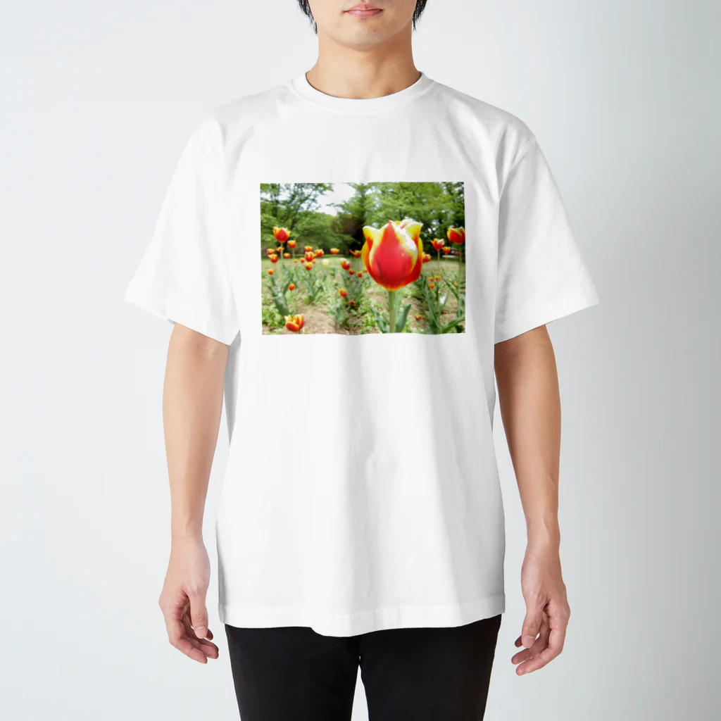 写真箱の Tulip Regular Fit T-Shirt