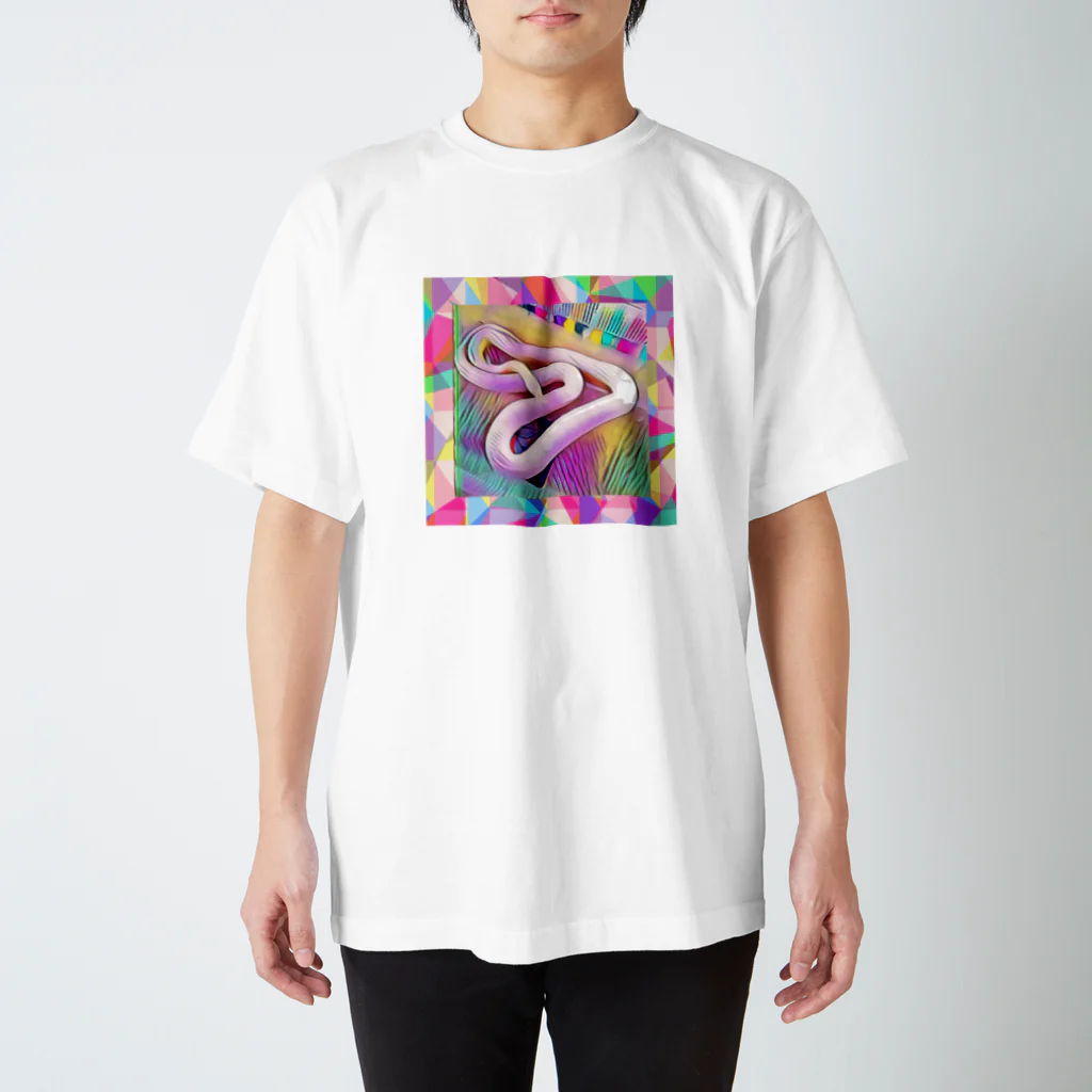 DecoLacertaのsnake:IKUO スタンダードTシャツ