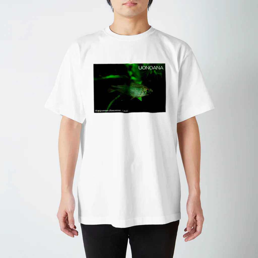 魚飼ゆかい＠ほぼお休み中のHemigrammus filamentosus / male Regular Fit T-Shirt