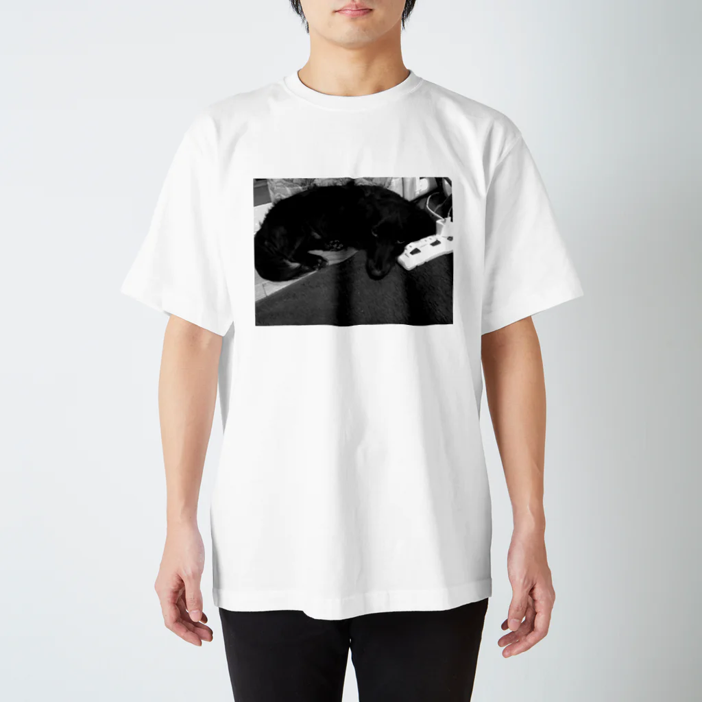 真かぶのべっかむ Regular Fit T-Shirt