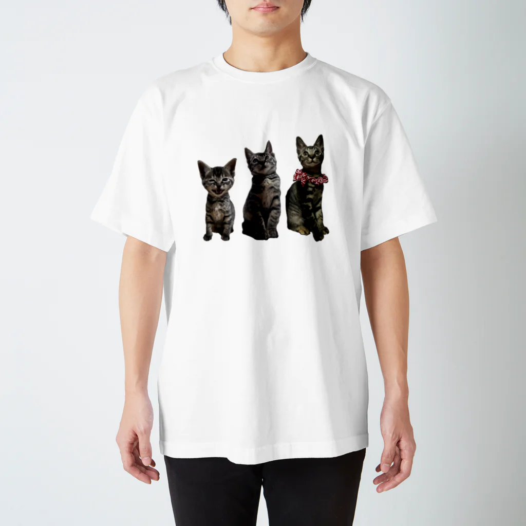ブティックNENE🐾のネネの仔猫時代 Regular Fit T-Shirt